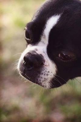 Book cover for Boston Terrier (200 Page Lined Journal)