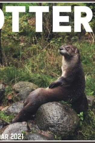 Cover of Otters Calendar 2021