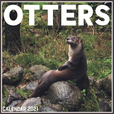 Book cover for Otters Calendar 2021