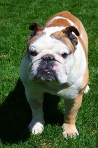 Cover of An English Bulldog Journal