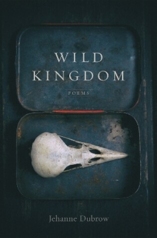 Cover of Wild Kingdom