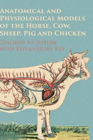 Cover of Anatomical and Physiological Models of the Horse, Cow, Sheep, Pig and Chicken - Colored to Nature - With Explanatory Key