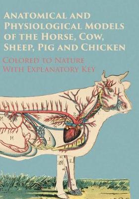 Book cover for Anatomical and Physiological Models of the Horse, Cow, Sheep, Pig and Chicken - Colored to Nature - With Explanatory Key