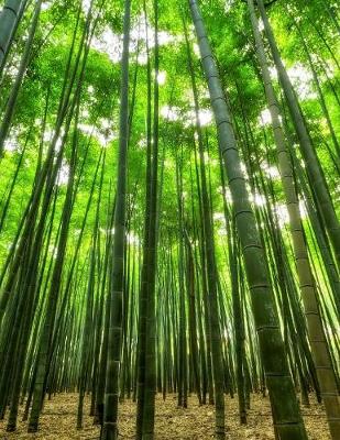 Cover of Bamboo Gardening Journal