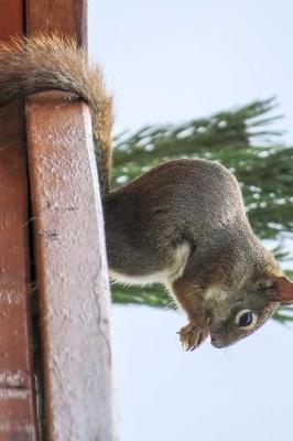 Book cover for A Squirrel on a Ledge Eating Journal