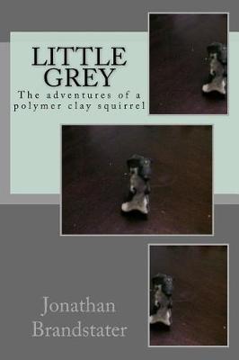 Book cover for Little Grey