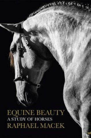 Cover of Equine Beauty