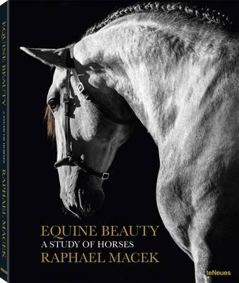 Book cover for Equine Beauty