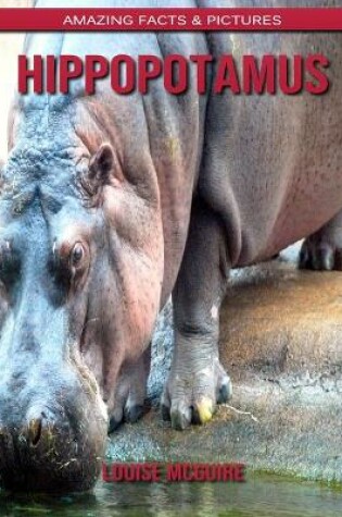 Cover of Hippopotamus