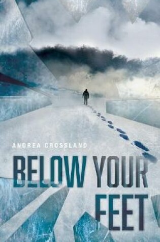 Cover of Below Your Feet