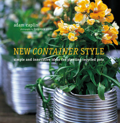 Book cover for New Container Style