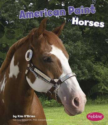 Book cover for American Paint Horses