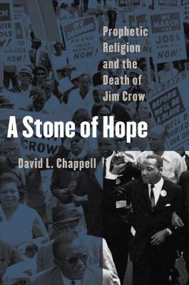 Book cover for A Stone of Hope