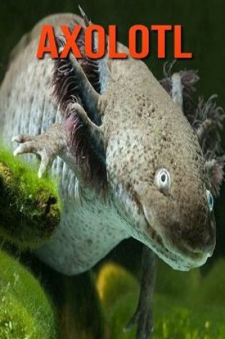 Cover of Axolotl