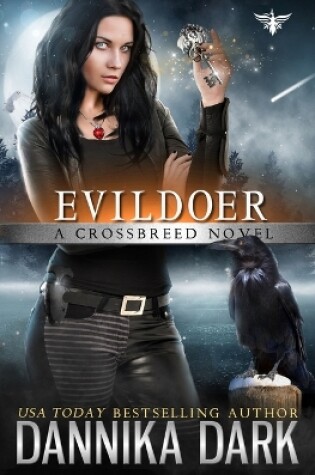Cover of Evildoer