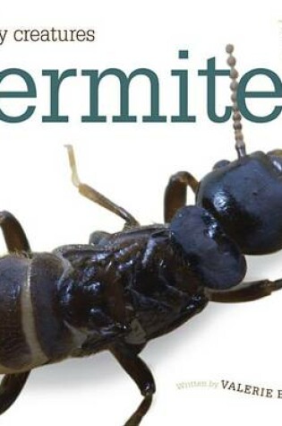 Cover of Termites