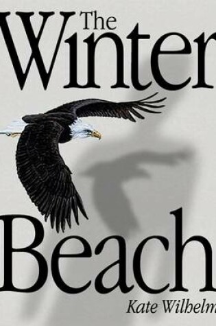 Cover of The Winter Beach