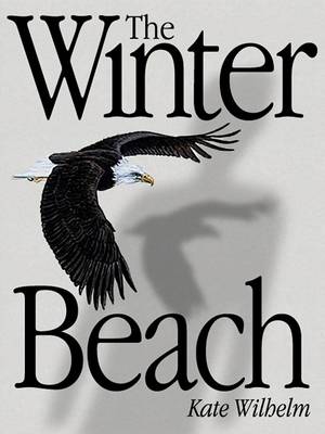 Book cover for The Winter Beach