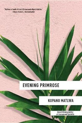 Cover of Evening Primrose