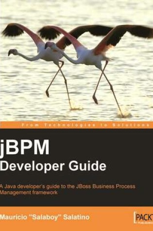 Cover of jBPM Developer Guide