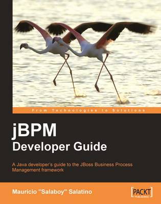 Book cover for jBPM Developer Guide