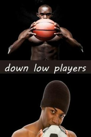 Cover of Down Low Players