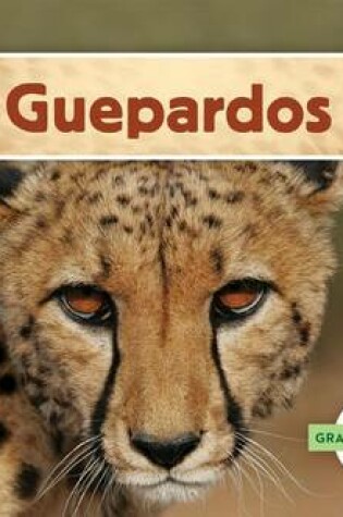 Cover of Guepardos