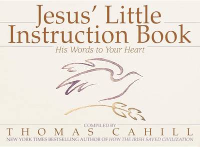 Book cover for Jesus' Little Instruction Book