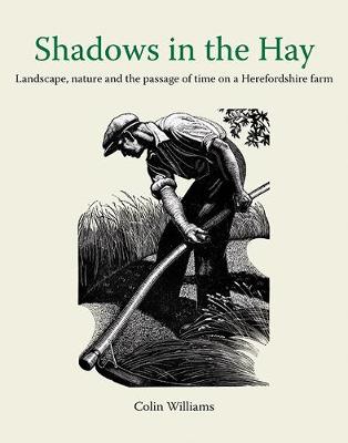 Book cover for Shadows in the Hay