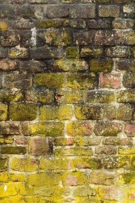 Book cover for Brick Wall Covered in Algae Journal