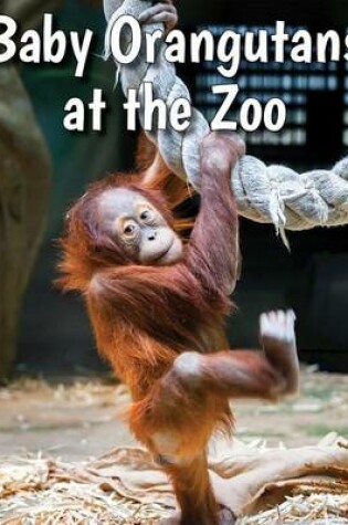 Cover of Baby Orangutans at the Zoo