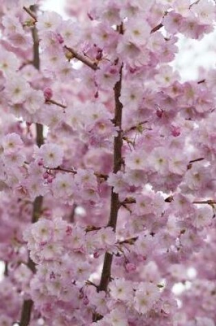 Cover of Pink Cherry Blossoms in the Spring Journal