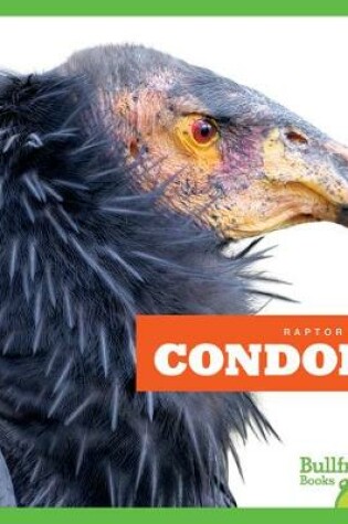 Cover of Condors