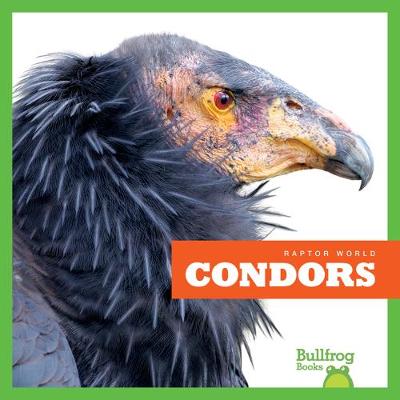 Book cover for Condors