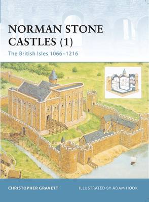 Book cover for Norman Stone Castles (1)