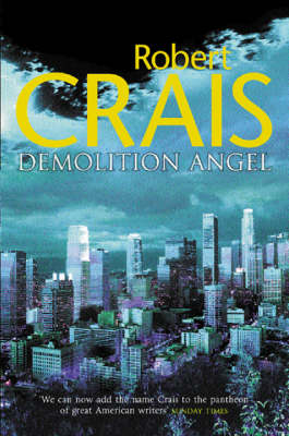 Book cover for Demolition Angel