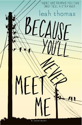 Book cover for Because You'll Never Meet Me