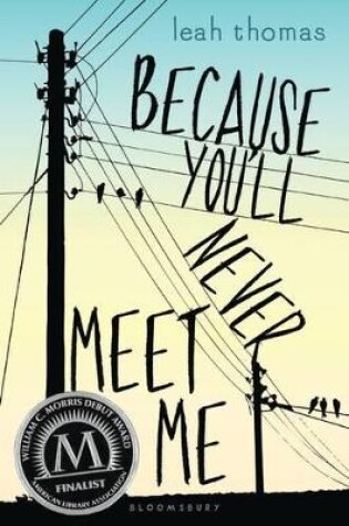 Cover of Because You'll Never Meet Me
