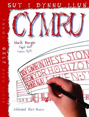 Book cover for Sut i Dynnu Llun Cymru