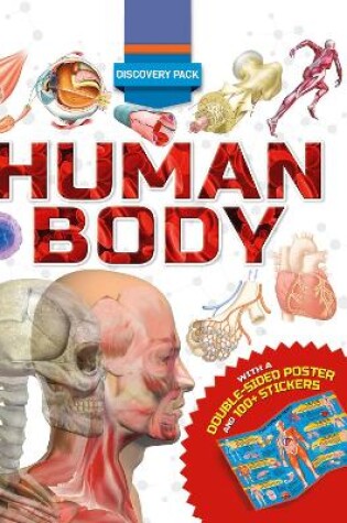 Cover of Discovery Pack: Human Body