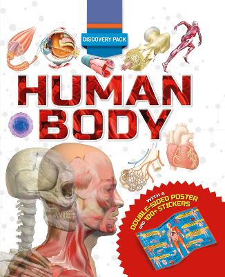 Book cover for Discovery Pack: Human Body
