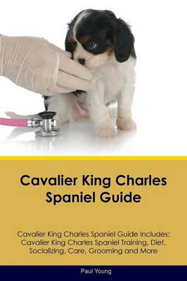 Book cover for Cavalier King Charles Spaniel Guide Cavalier King Charles Spaniel Guide Includes