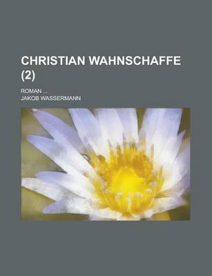 Book cover for Christian Wahnschaffe (2)
