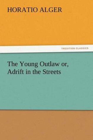 Cover of The Young Outlaw Or, Adrift in the Streets