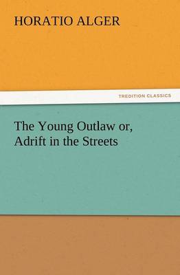 Book cover for The Young Outlaw Or, Adrift in the Streets