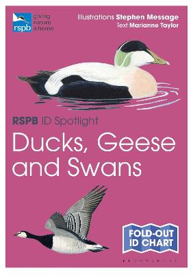 Book cover for RSPB ID Spotlight - Ducks, Geese and Swans