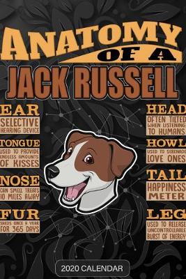Book cover for Anatomy Of A Jack Russell Terrier Jack Russell JRT Jack dog face