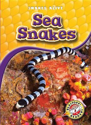 Cover of Sea Snakes