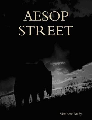 Book cover for Aesop Street