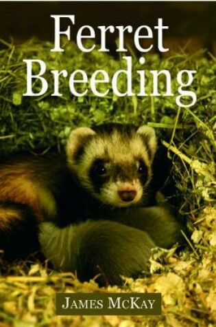 Cover of Ferret Breeding